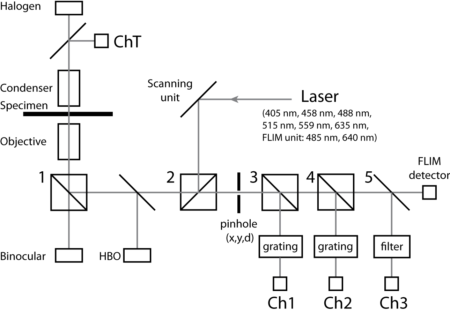 Bild "Light Microscopy:FluoView_setup.png"